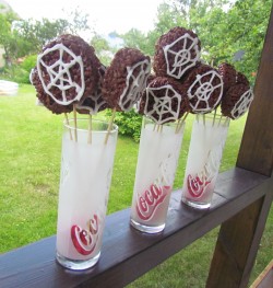 Cake pops with web
(2014 June)