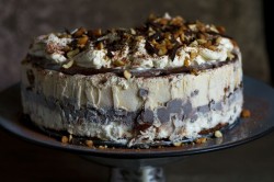 Peanut ice cream cake