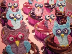 Amazing owl cupcakes