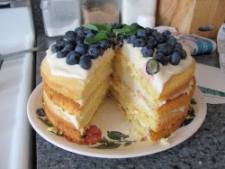 Cake with blueberry