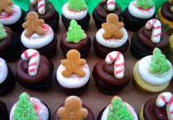 Chocolate Christmas cupcakes