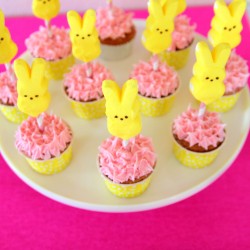 Cupcake with Bunny