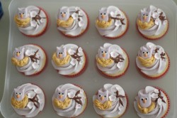 Cupcakes with owl