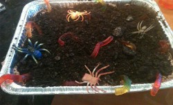 Dirt cake with spiders