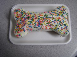 Dog bone cake