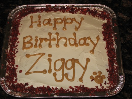Happy Birthday cake for dog