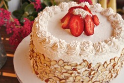 Italian cream cake with rum