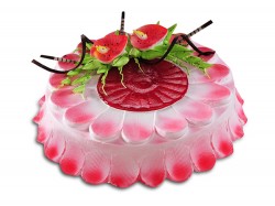 Jello cake