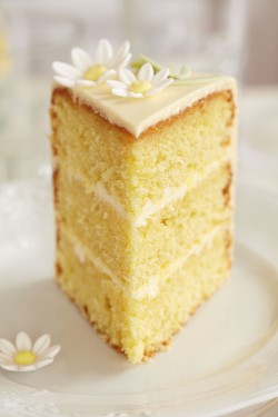 Madeira Limoncello cake