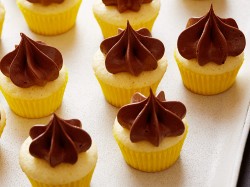 Mini vanilla cupcakes
