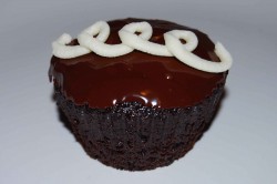 Organic hostess cupcake