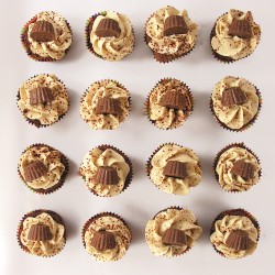 Peanut butter cupcakes