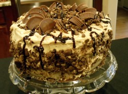 Peanut butter cake with chocolate