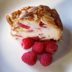 Rhubarb cake with raspberry