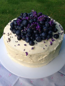 Tasty blueberry cake