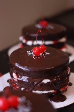 Twin Black Forest cake