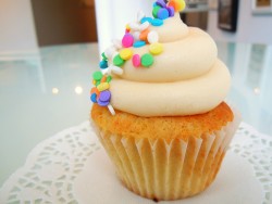 Vanilla cupcake