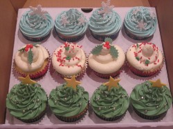 Winter cupcakes