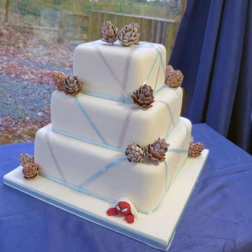 Anniversary cake with pine cones