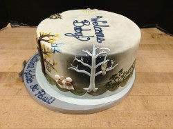 Baby shower cake winter forest