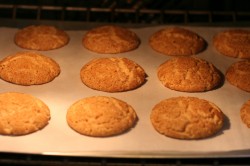 Snickerdoodle cookies