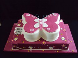 2 tier butterfly cake