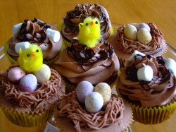 Chocolate Easter cupcakes with chicken