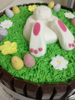 Easter cake – bunny in the grass