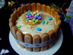 Easter cake with lady fingers