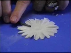 How to make beautiful daisies