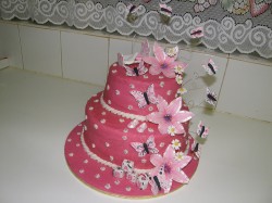 Baby shower cake with butterflies