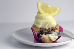 Blueberry lemon cupcake
