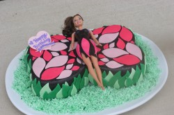 Butterfly cake for girls birthday