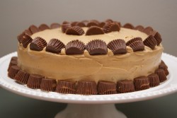 Caramel and peanut butter cake