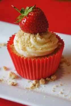 Cheesecake cupcake with strawberry