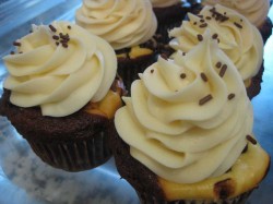 Chocolate cheesecake cupcakes