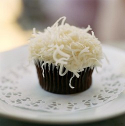 Chocolate cupcake with coconut