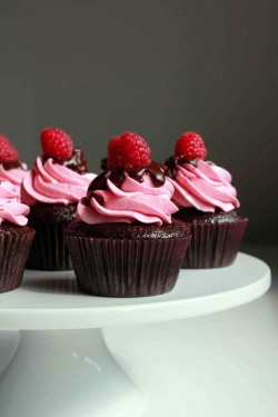 Chocolate cupcakes with raspberry