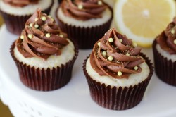 Chocolate lemon cupcakes