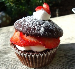 Chocolate and strawberry cupcake