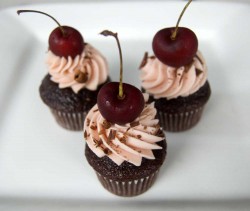 Cupcakes black forest