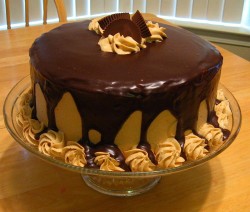 Cute peanut butter cake