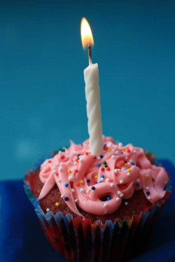 Pink birthday cupcake