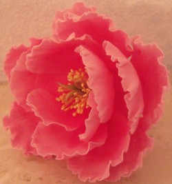 Pink sugarcraft Peony