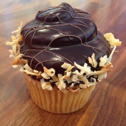 Tasty coconut cupcake