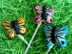 Butterfly cakepops