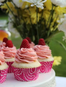 Vanilla cupcakes with rapsberry