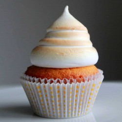 Vanilla cupcake salted caramel filling