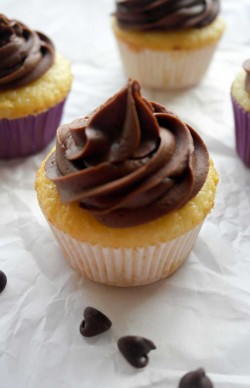 Vanilla cupcakes with chocolate frosting