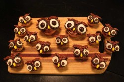 Amazing owl cupcakes